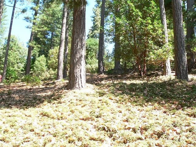 1st image of 17495 Canyon View Ct