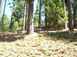17495 Canyon View Ct, Pioneer, CA 95666