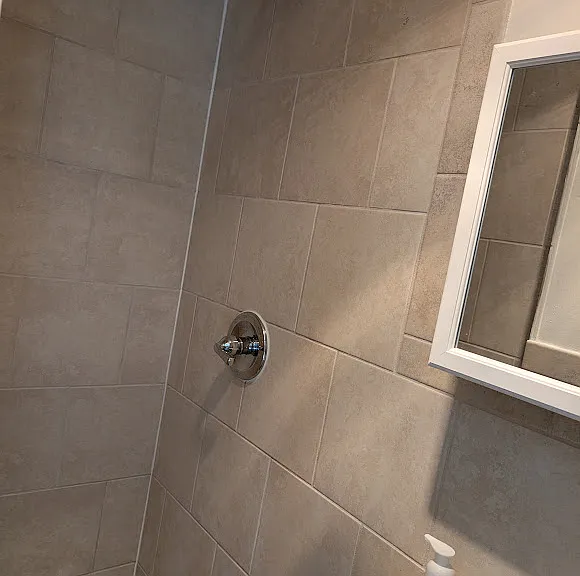 basement shower bathroom
