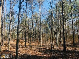 0 Henry Currington Rd, Butler, GA 31006