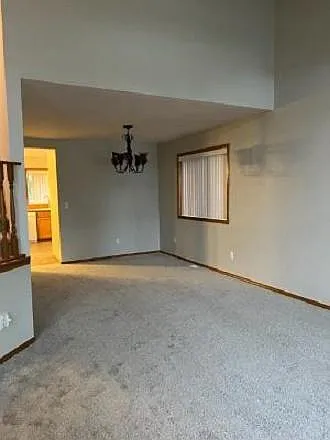 New carpet