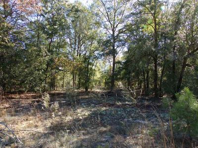 Vacant Ne Hillside Ter, Lee, FL, 32059
