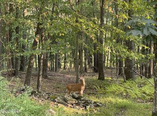 Lots 7 8 17 & 18 Blossom Rd, Lackawaxen, PA 18435