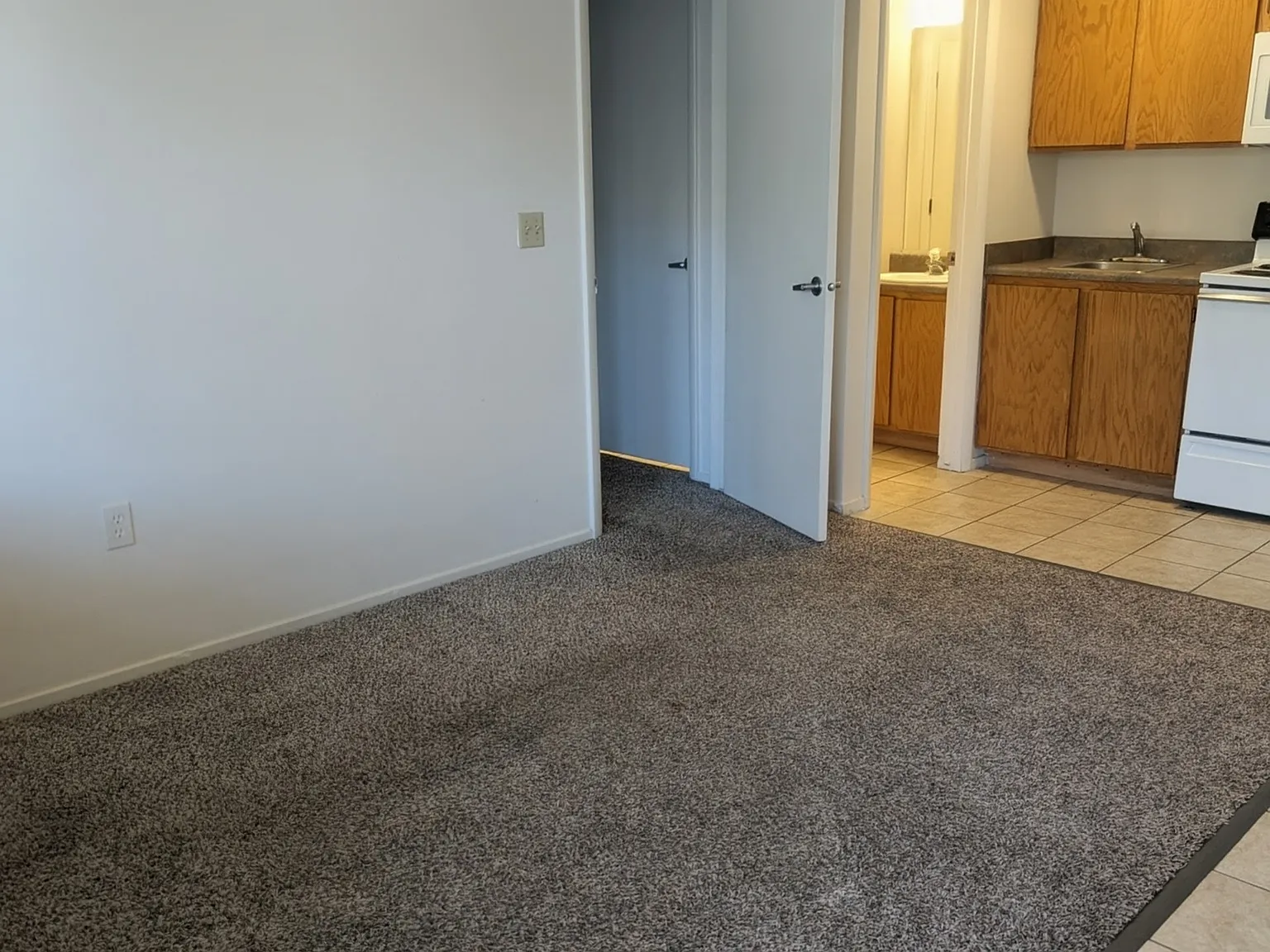 1 bed, 445 sqft, $900 — Photo 3