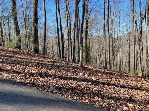 119 Moon Shadow Trl Penthouse Iii, Blairsville, GA 30512