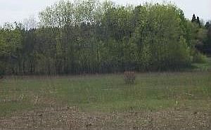Land 2 View