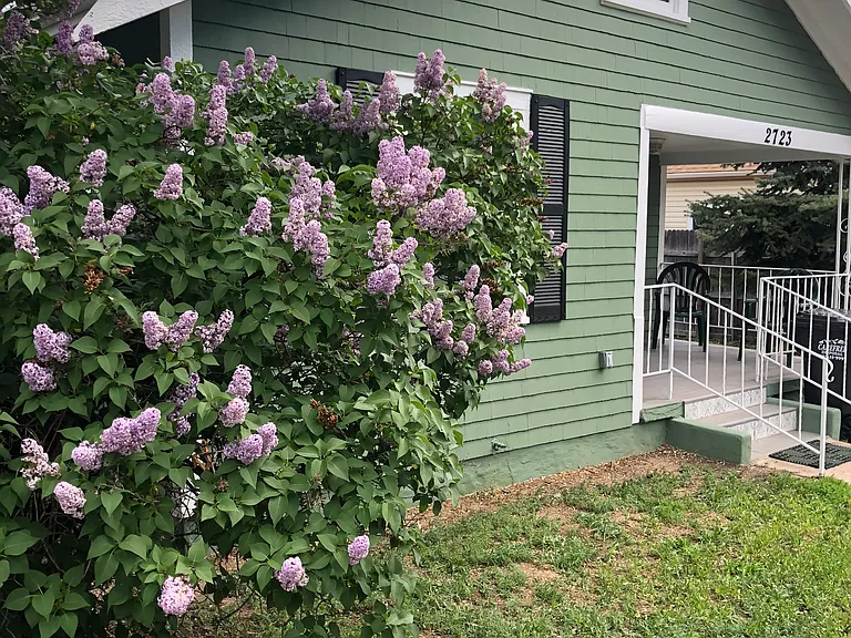 2723 Wood Ave — Photo 6
