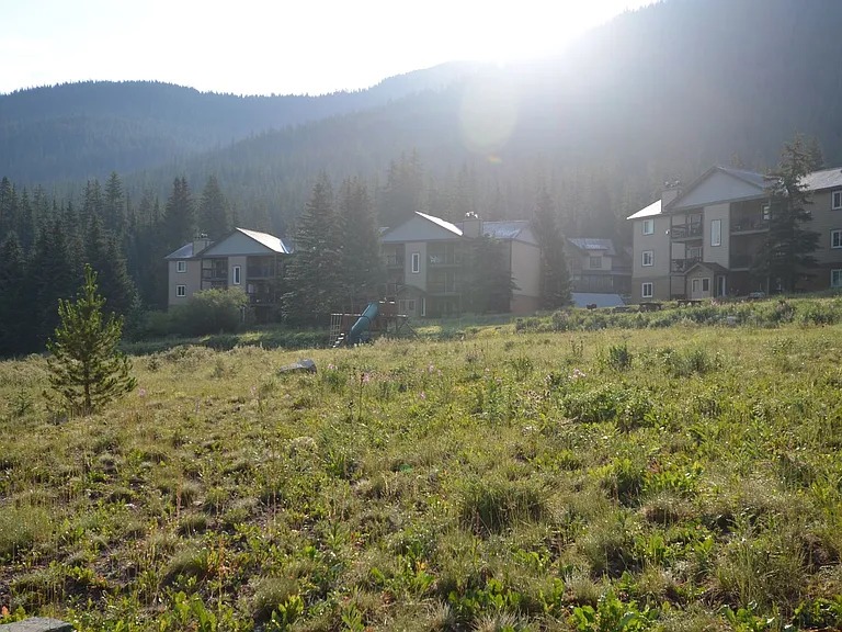 107 Peaks View Ct #324 — Photo 4