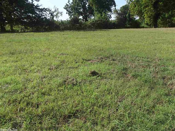 4th image of 11024 Bodarc Ln