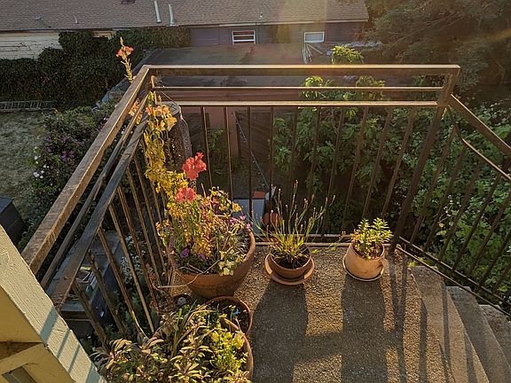 view from back bedroom