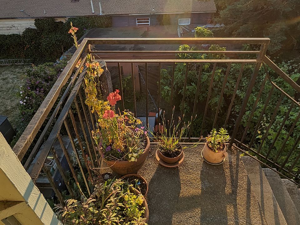 view from back bedroom