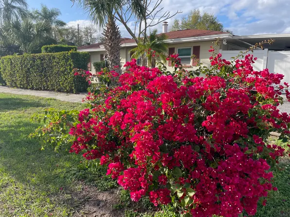 237 49th St N, Saint Petersburg, FL 33710