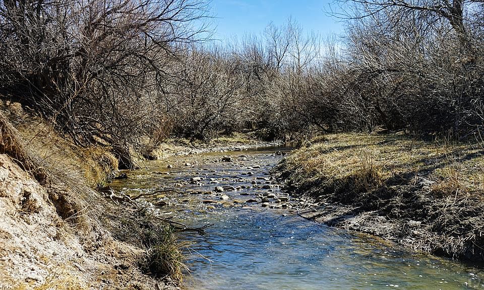 1st image of 161 Colorado Land Livestock