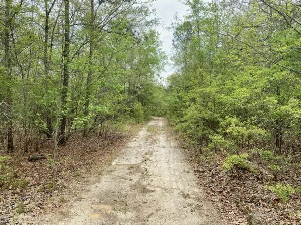 Sand Dam Rd, Wagener, SC 29164
