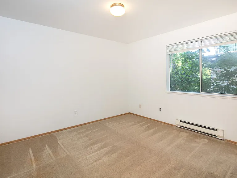 Cedar Park 8 in North Seattle! — Photo 13
