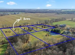 PARCEL 11 Kingston Rd, Ionia, MI 48846