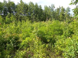 0 Norrisville Rd LOT 2, Schuyler Falls, NY 12985