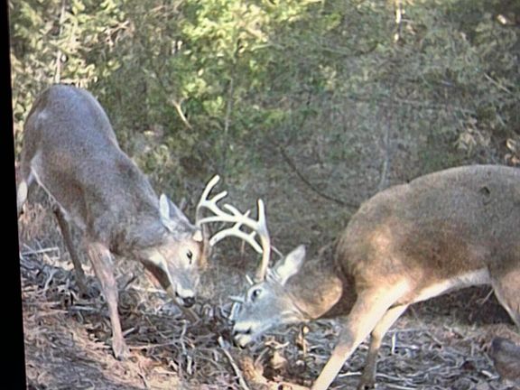 4th image of 16996 E 524 Road