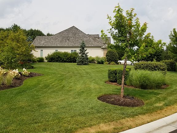 Huge Side Yard