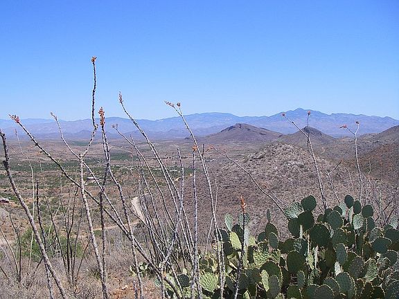 5th image of 19311 S. Old Sonoita Highway