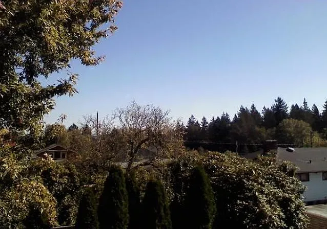 8316 SW Terwilliger Blvd — Photo 25