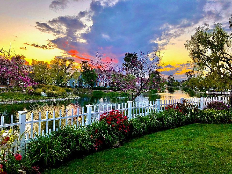Backyard view