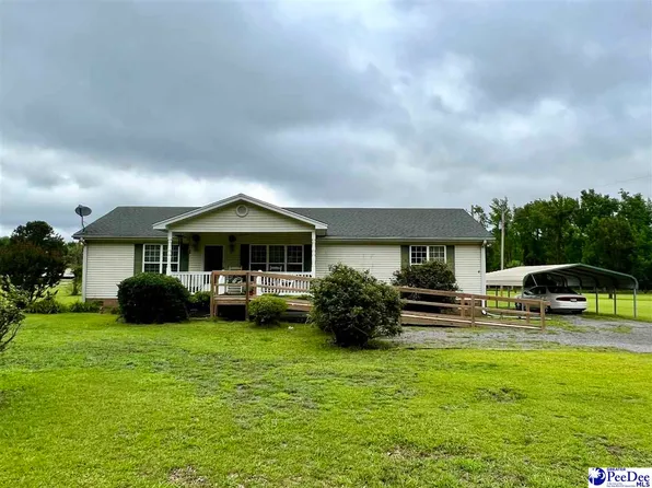 4815 Armfield Rd, Effingham, SC 29541