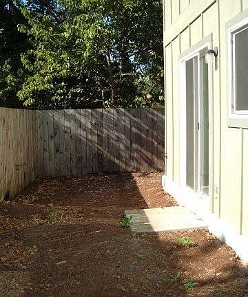 Back yard - low maintenance!