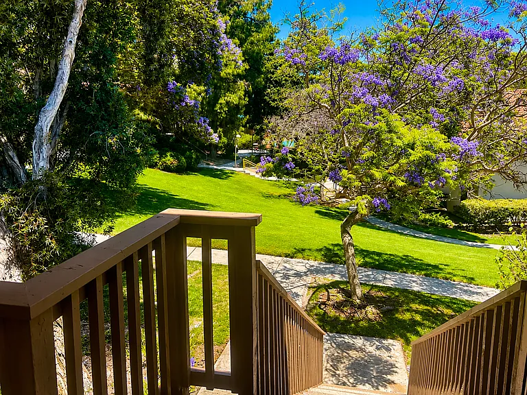 View from patio