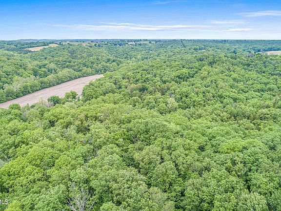 3rd image of 11886 County Road 391