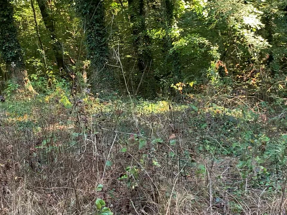 2nd image of 5992 Little Mountain Dr
