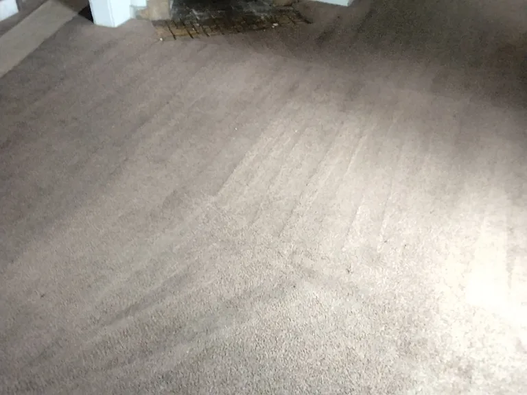 Plush carpeting