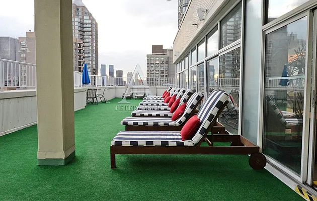 Rented by Peter Ashe | media 24