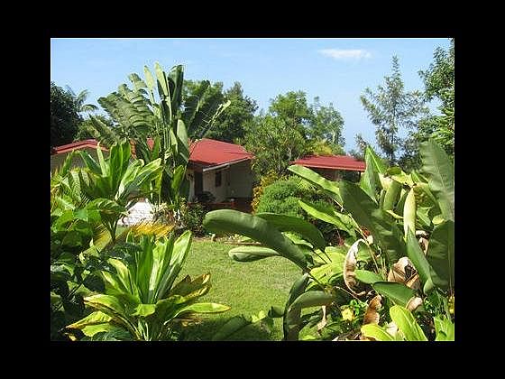 1st image of 73-4586 Old Mamalahoa Hwy