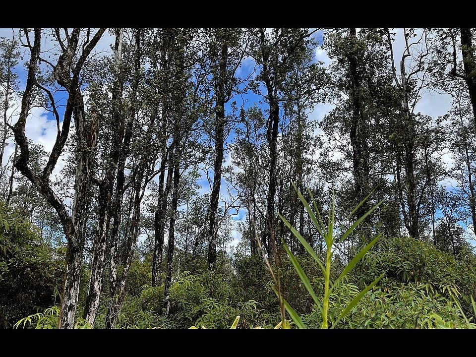 1st image of Mauna Kea Dr Lot 53