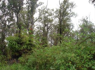 LOT 38 Lot 38, Volcano, HI 96785