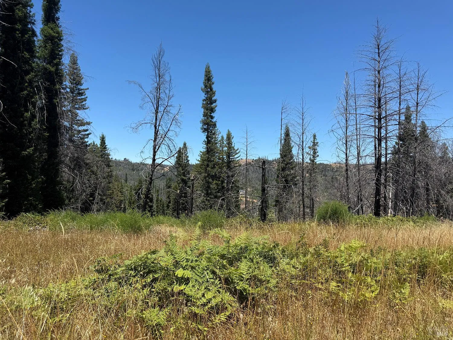 8158 Mill Creek Rd - Photo 10