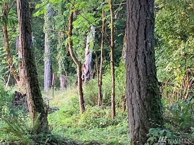 2nd image of 2243 Baby Doll Rd E