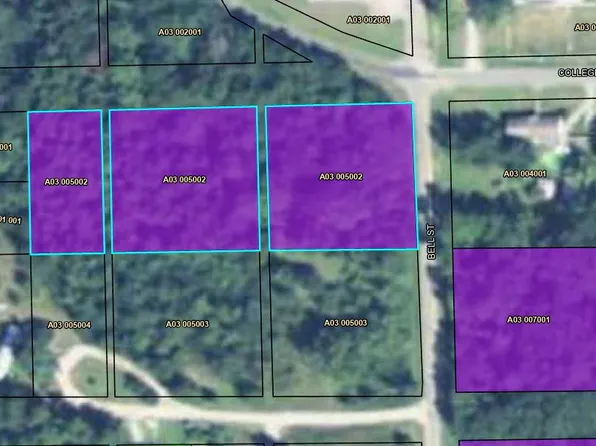 103 Bell St, Abbeville, GA 31001