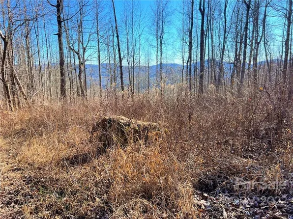 0 Pinnacle Mountain Rd #2, Flat Rock, NC 28731
