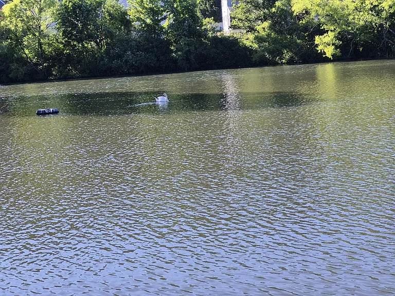 56 Burnham Pkwy — Photo 7