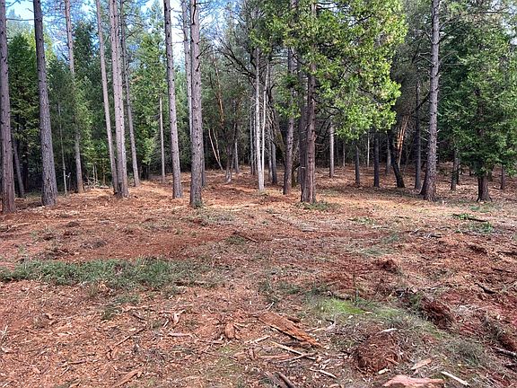 2nd image of Acres 47 Bear Creek Rd
