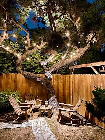 Back yard