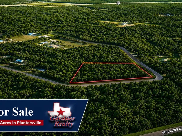 9102 Blue Lake Dr, Plantersville, TX 77363