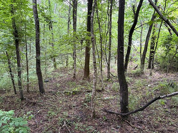3rd image of 0 Ivy Hollow Rd Lot 5