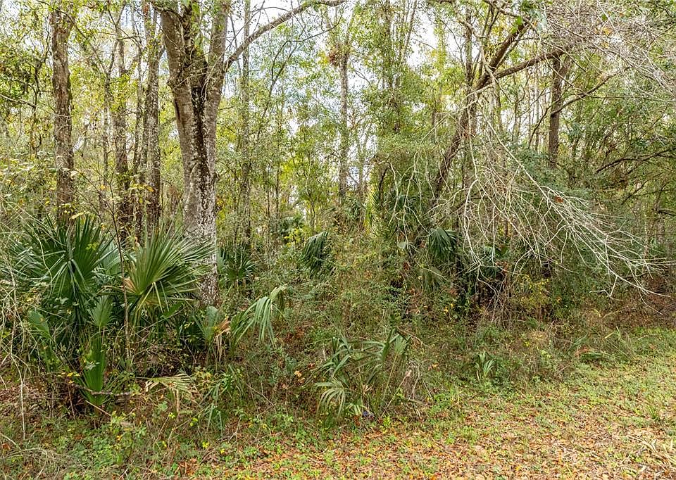 1st image of LAKE LINDSEY TRACT 2 ROAD LOT 2