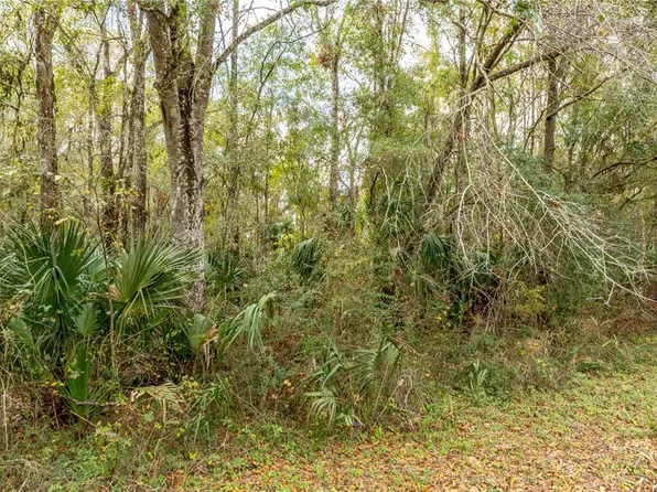 Lake Lindsey Tract Road Lot 2, Brooksville, FL 34601