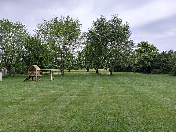 Back yard! Lots of room!  