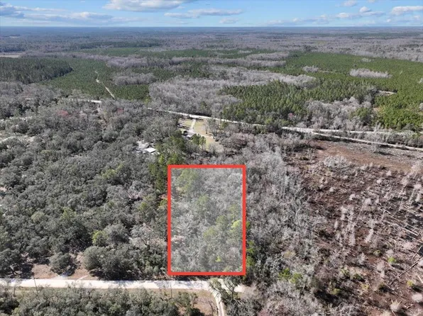 0 NE 295 Lane, Cross City, FL 32628