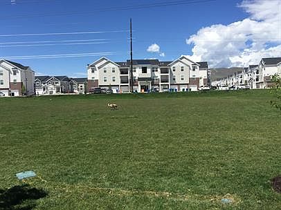 3rd image of 4227 W 1960 N #1